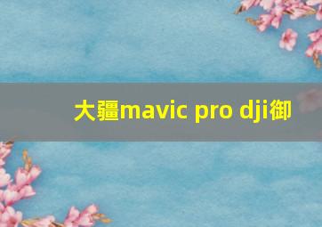 大疆mavic pro dji御